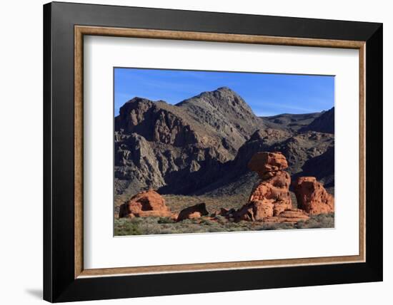 Beehives area, Valley of Fire State Park, Overton, Nevada, United States of America, North America-Richard Cummins-Framed Photographic Print