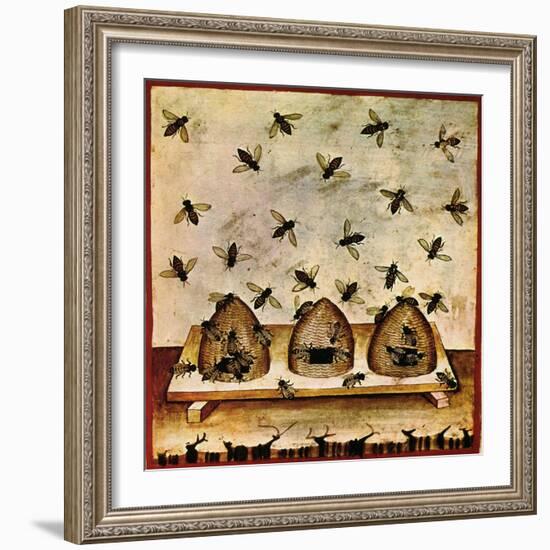 Beekeeping, Arabic Medical Book, 14th C-Science Source-Framed Giclee Print