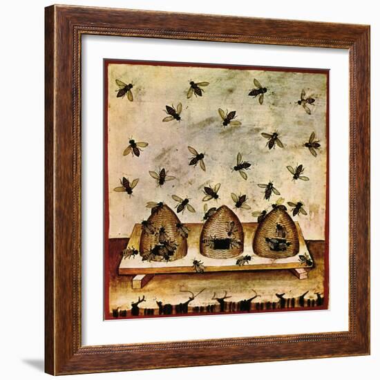 Beekeeping, Arabic Medical Book, 14th C-Science Source-Framed Giclee Print