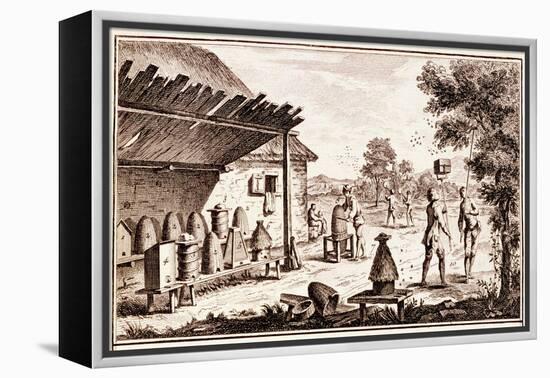 Beekeeping, from 'Dictionary of Sciences', C.1770 (Detail)-Denis Diderot-Framed Premier Image Canvas