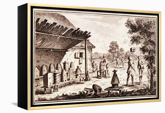 Beekeeping, from 'Dictionary of Sciences', C.1770 (Detail)-Denis Diderot-Framed Premier Image Canvas