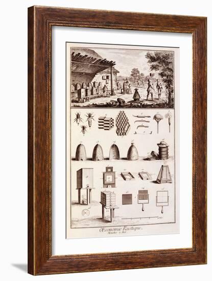 Beekeeping, from 'Dictionary of Sciences', C.1770-Denis Diderot-Framed Giclee Print