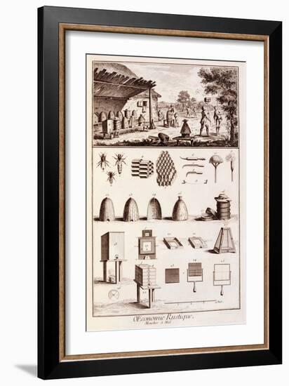 Beekeeping, from 'Dictionary of Sciences', C.1770-Denis Diderot-Framed Giclee Print