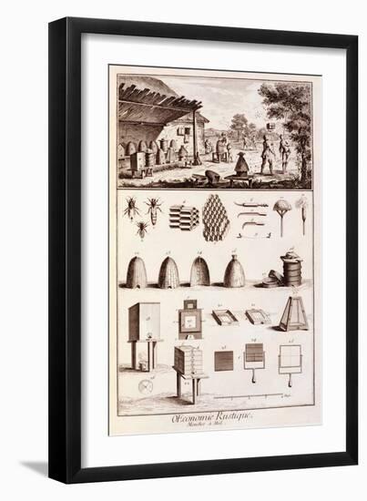 Beekeeping, from 'Dictionary of Sciences', C.1770-Denis Diderot-Framed Giclee Print