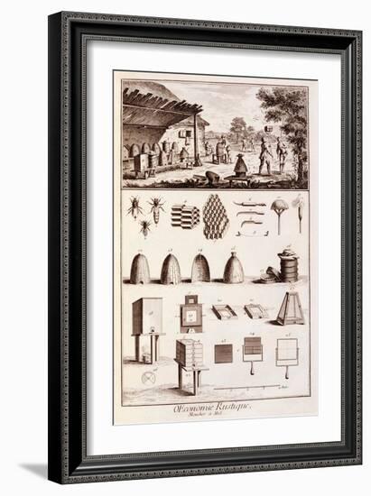 Beekeeping, from 'Dictionary of Sciences', C.1770-Denis Diderot-Framed Giclee Print