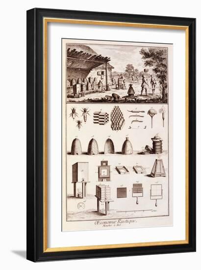 Beekeeping, from 'Dictionary of Sciences', C.1770-Denis Diderot-Framed Giclee Print
