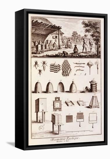 Beekeeping, from 'Dictionary of Sciences', C.1770-Denis Diderot-Framed Premier Image Canvas