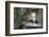 Beelitz Heilstätten-kre_geg-Framed Photographic Print