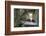 Beelitz Heilstätten-kre_geg-Framed Photographic Print