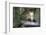 Beelitz Heilstätten-kre_geg-Framed Photographic Print