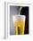 Beer Being Poured into a Glass-Winfried Heinze-Framed Photographic Print