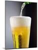 Beer Being Poured into a Glass-Winfried Heinze-Mounted Photographic Print