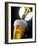 Beer Being Poured into a Glass-null-Framed Photographic Print