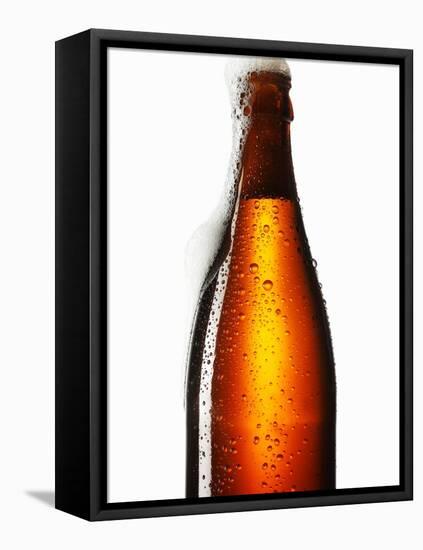 Beer Frothing Out of Bottle-Kröger & Gross-Framed Premier Image Canvas