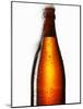 Beer Frothing Out of Bottle-Kröger & Gross-Mounted Photographic Print