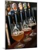 Beer Glasses at the Broggeriet Brewery in Sonderborg, Jutland, Denmark, Scandinavia, Europe-Yadid Levy-Mounted Photographic Print