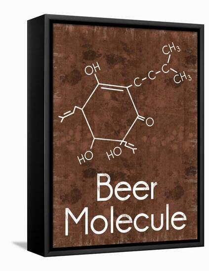 Beer Molecule 2 Rect Brown-Lauren Gibbons-Framed Stretched Canvas