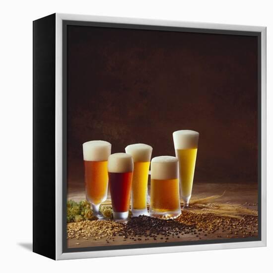 Beer Still Life-Giglio Giglio-Framed Stretched Canvas