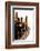 Beer-Fabio Petroni-Framed Photographic Print