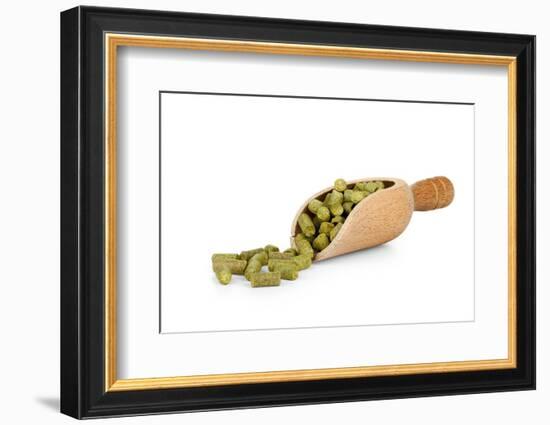 Beer-Fabio Petroni-Framed Photographic Print