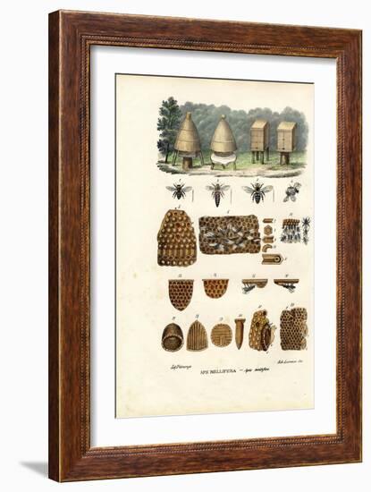 Bees, 1863-79-Raimundo Petraroja-Framed Giclee Print