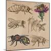 Bees, Beekeeping, and Honey-KUCO-Mounted Art Print