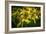 Bees on Flowers-Stephen Arens-Framed Photographic Print