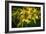 Bees on Flowers-Stephen Arens-Framed Photographic Print