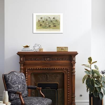 Bees Giclee Print By Art Com
