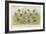 Bees-null-Framed Giclee Print