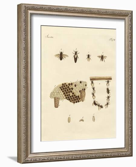 Bees-null-Framed Giclee Print