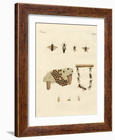 Bees-null-Framed Giclee Print