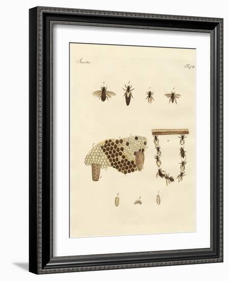 Bees-null-Framed Giclee Print