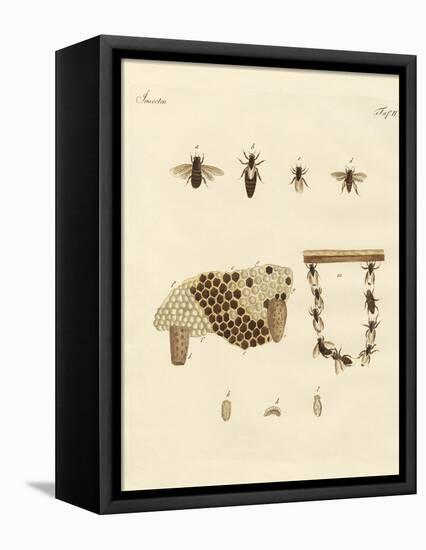 Bees-null-Framed Premier Image Canvas