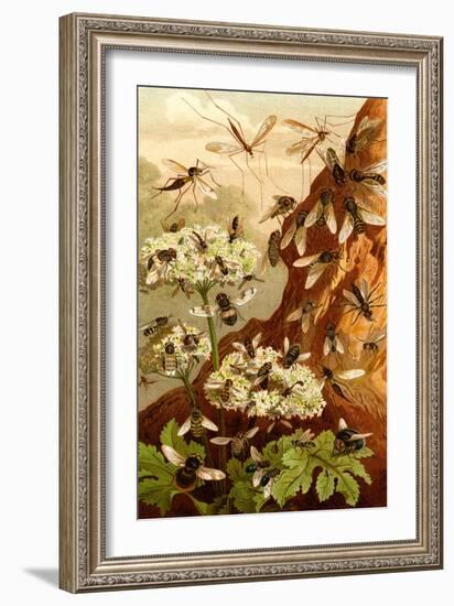 Bees-F.W. Kuhnert-Framed Art Print