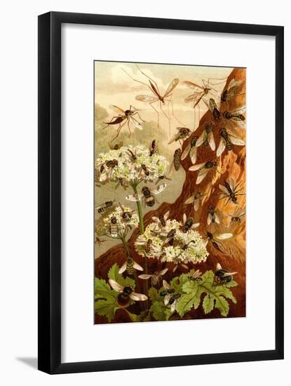 Bees-F.W. Kuhnert-Framed Art Print