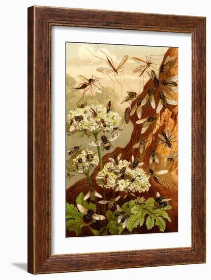 Bees-F.W. Kuhnert-Framed Art Print