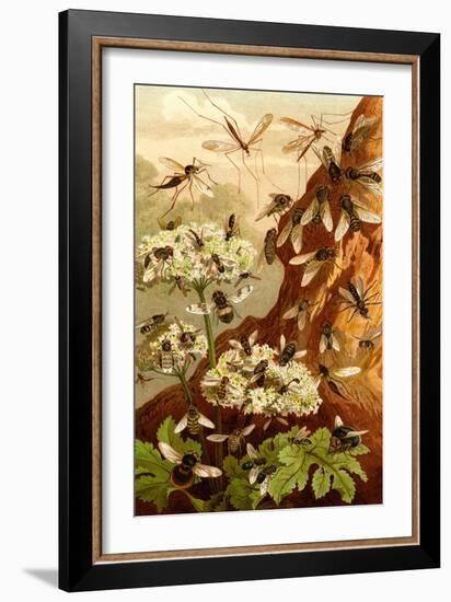 Bees-F.W. Kuhnert-Framed Art Print