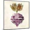 Beet 3-Kristin Emery-Mounted Art Print