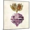 Beet 3-Kristin Emery-Mounted Art Print