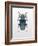 Beetle 3-Design Fabrikken-Framed Photographic Print