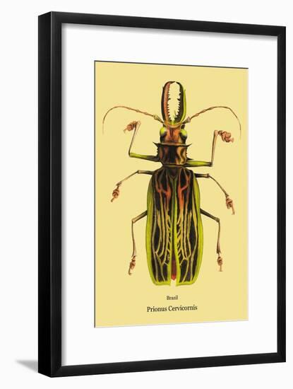 Beetle: Brazilian Prionus Cervicornis-Sir William Jardine-Framed Art Print