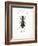 Beetle I-Gwendolyn Babbitt-Framed Art Print