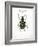 Beetle IV-Gwendolyn Babbitt-Framed Art Print