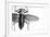 Beetle on Display, Santa Fe, New Mexico. Usa-Julien McRoberts-Framed Photographic Print