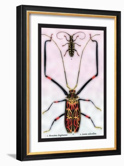 Beetles: Acrocinus Longimanus and Lamia Subocellata-Sir William Jardine-Framed Art Print