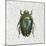 Beetles and Butterflies II-Danhui Nai-Mounted Art Print