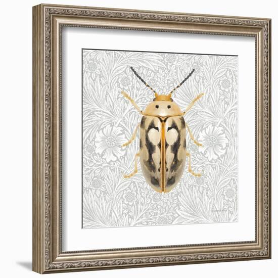 Beetles and Butterflies III-Danhui Nai-Framed Art Print