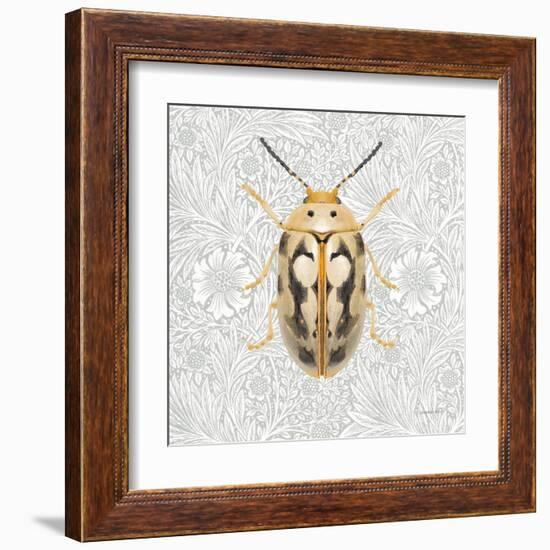Beetles and Butterflies III-Danhui Nai-Framed Art Print