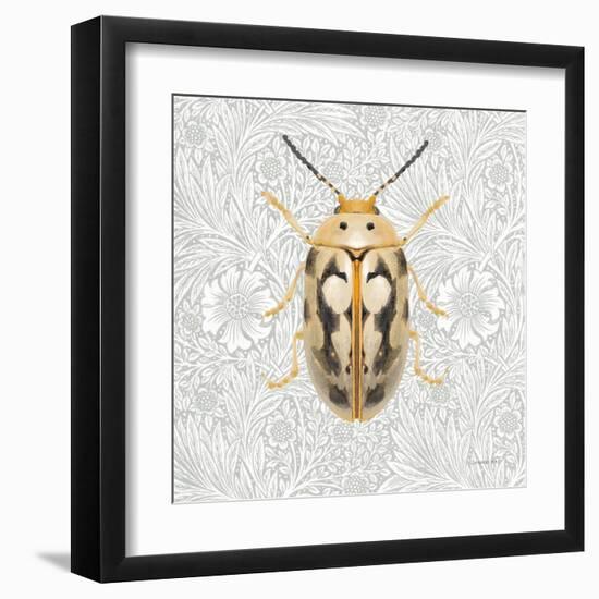 Beetles and Butterflies III-Danhui Nai-Framed Art Print